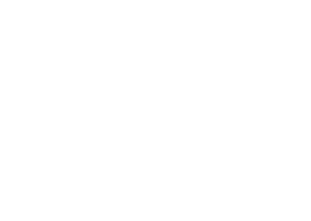 Entrepreneurs Across Borders